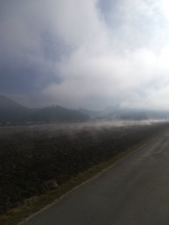 IMG_20210220_114650.jpg