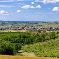 weinviertlasker