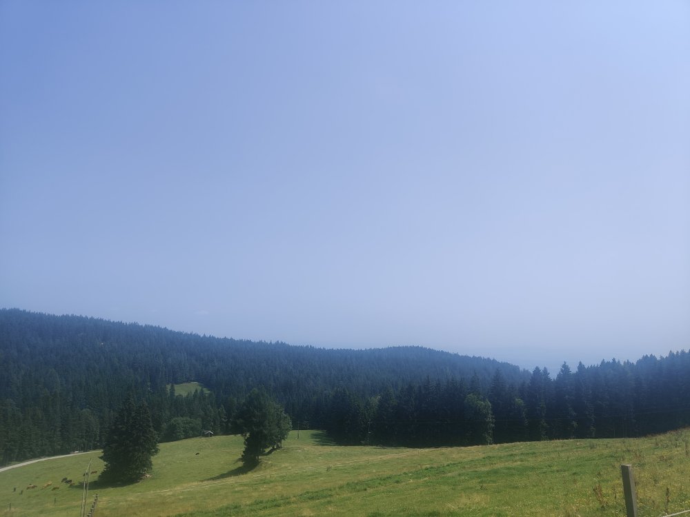 IMG_20210724_133602.jpg