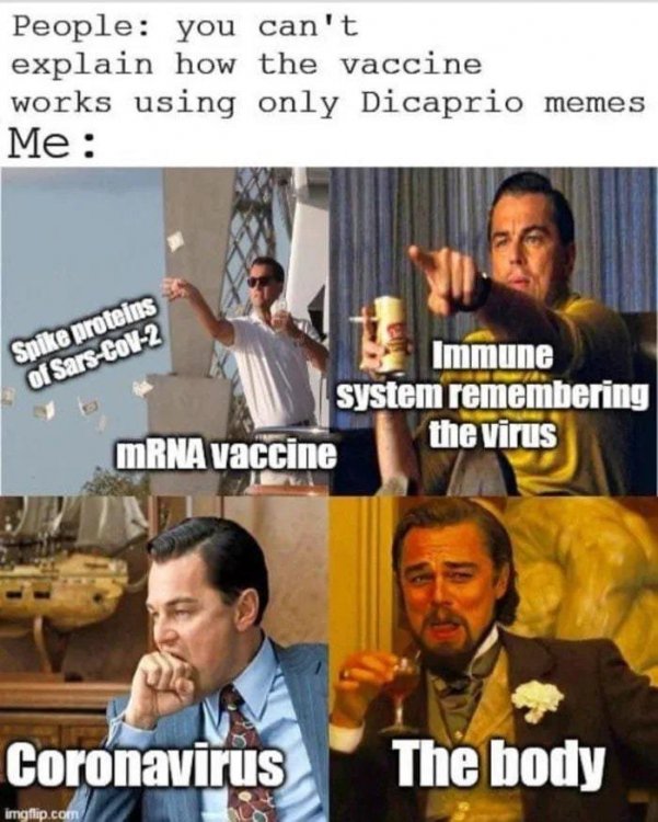 erafe.jpg