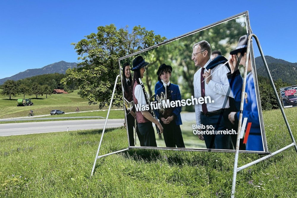 stelzer.jpg