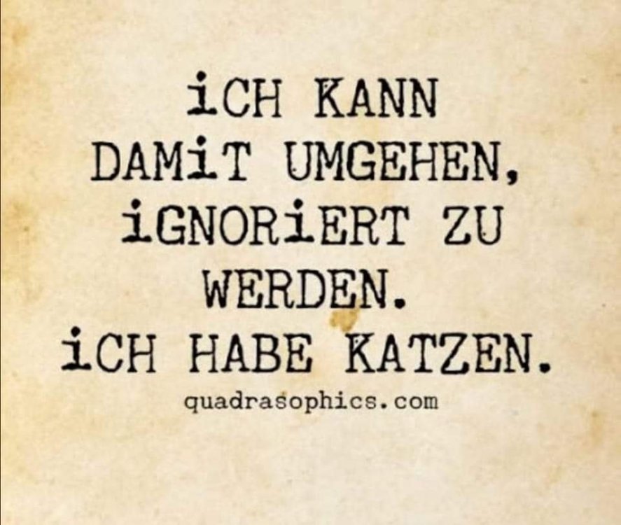 FB_IMG_1640669665164.jpg