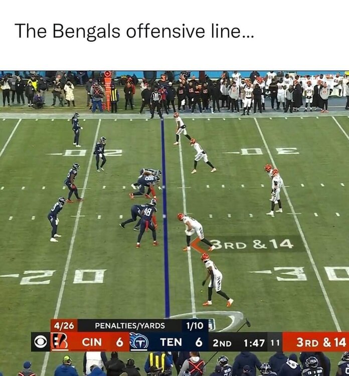 FB_IMG_1642896827239.jpg