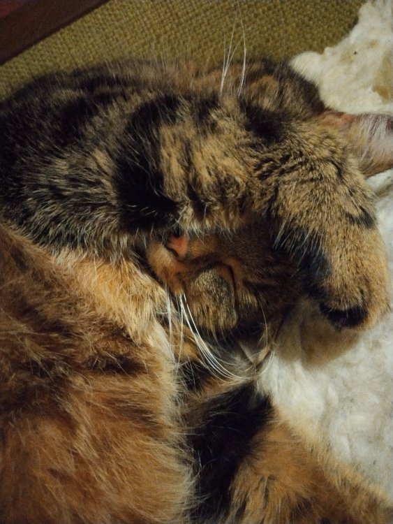 IMG_20220104_231238_HDR.jpg