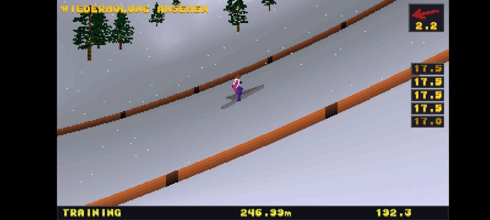 Screenshot_20220321-122340_Deluxe Ski Jump 2.jpg