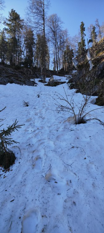 IMG_20220417_083726.jpg
