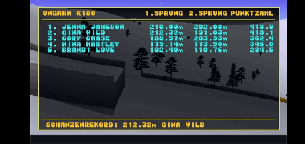 Screenshot_20220416_175627_fi.mediamond.dsj2.jpg