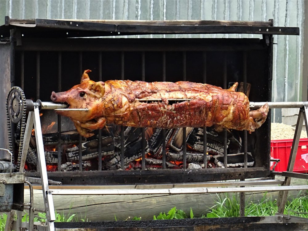 DSC04100.JPG
