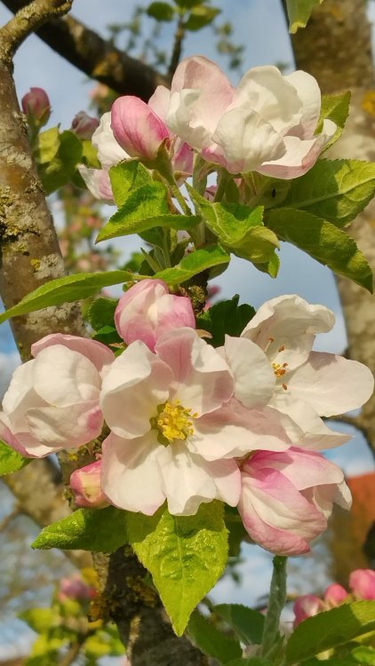 IMG_20220428_183402_HDR.jpg