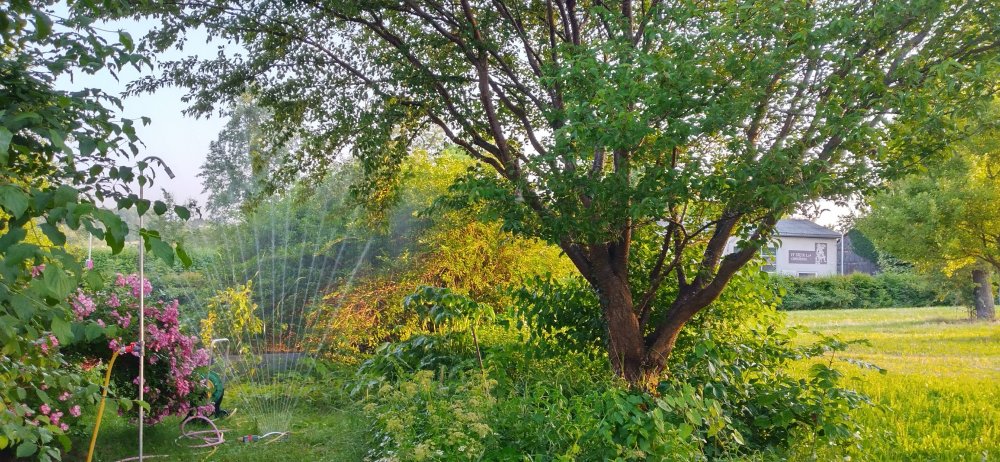 IMG_20220619_201951_HDR.jpg