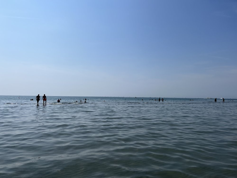 D7D81421-8E54-4E9F-8A2E-777E0B715015.jpeg