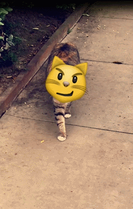 snapchat-cat-emoji.gif