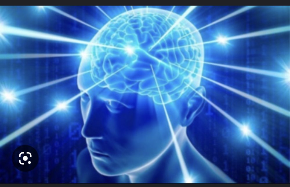 F05E7FAC-4E54-4D7E-9496-AAD3D5D9004C.jpeg