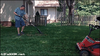 image.gif