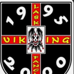 VikingLinz95