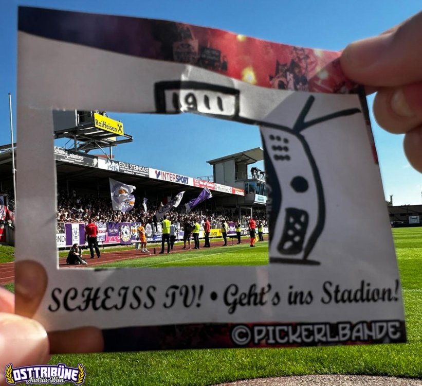 WhatsApp Bild 2023-09-23 um 07.37.48.jpg