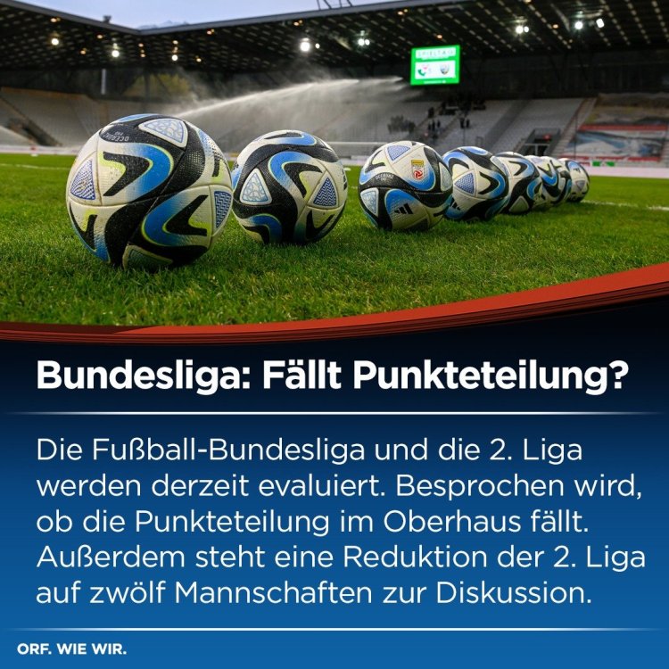 WhatsApp Image 2023-11-23 at 15.34.08.jpeg