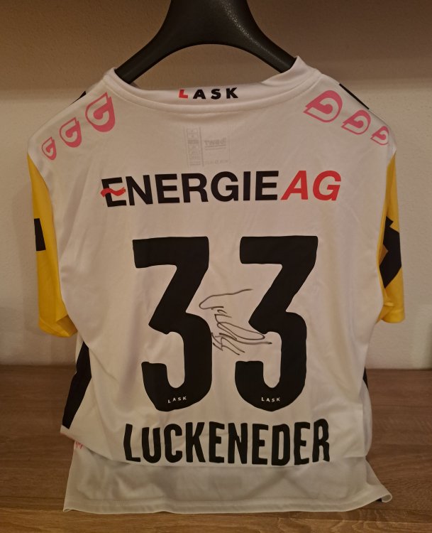 Dress Luckeneder 2.jpg