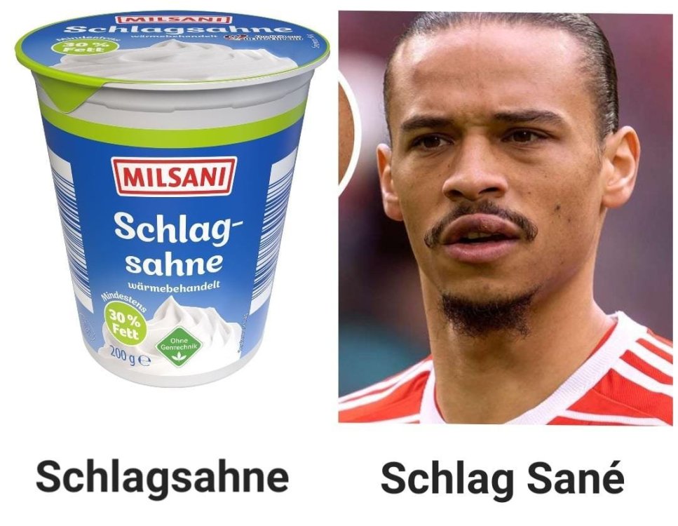 Sane.jpg