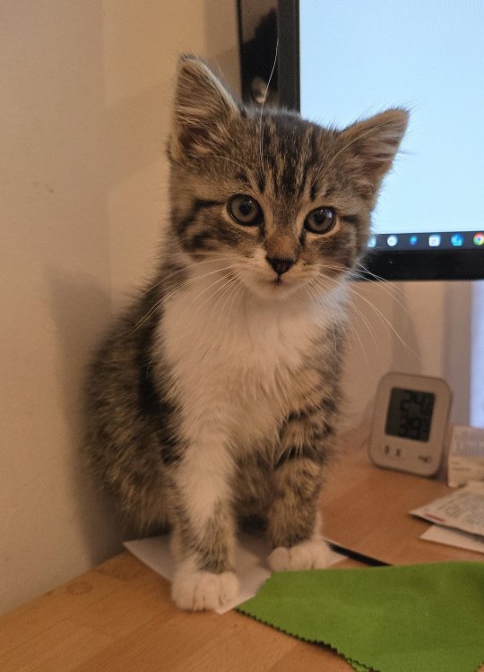 20240703_143826_1 - Kopie.jpg