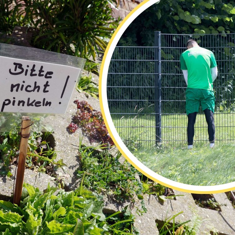 35123945-wildpinkeln-strafe-strassenrand-autobahn-pinkeln-im-freien-entleeren-teure-konsequenzen-2iec.jpg