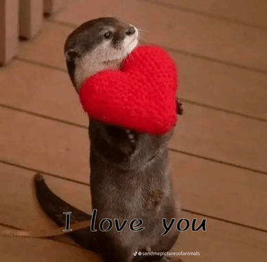 i-love-you-otter.png