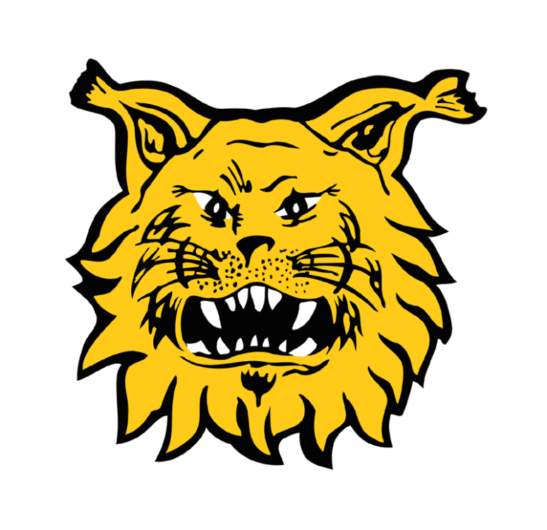 ilves_tampere_logo_web.png
