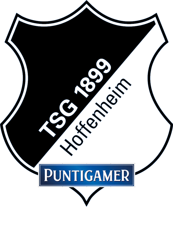 Logo_TSG_Hoffenheim.svg.png