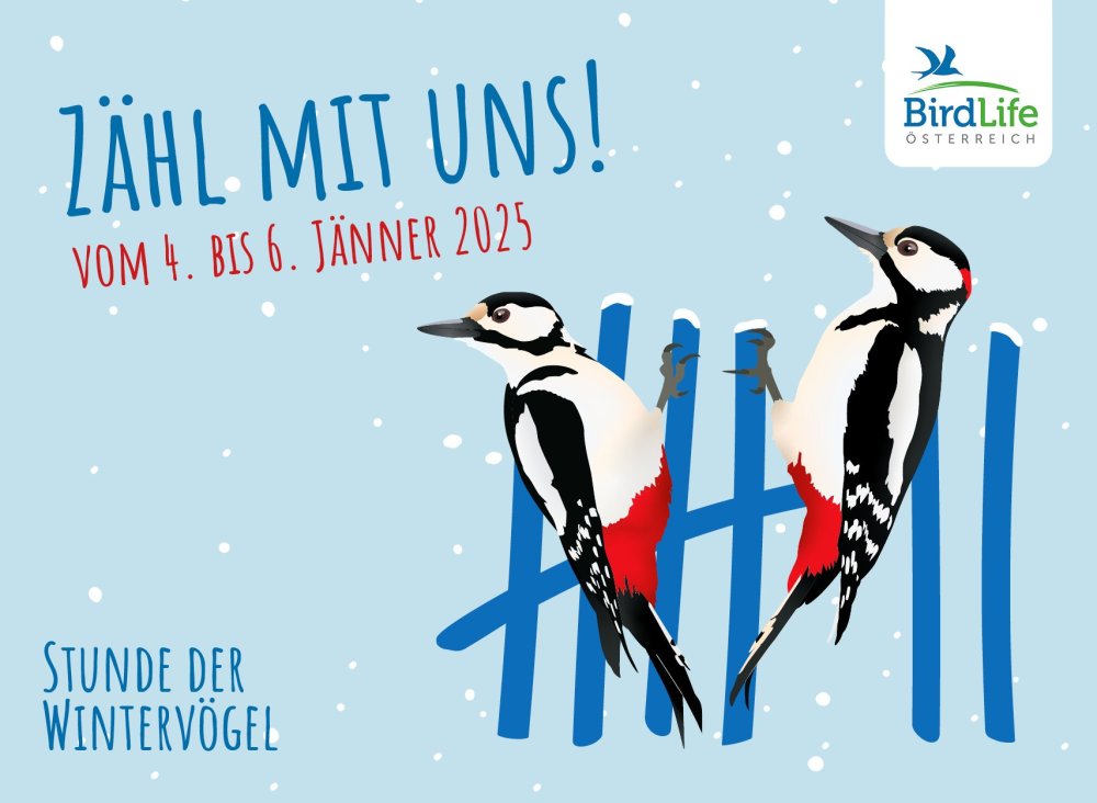 SDW 2025 FB-banner 1708x1250px.jpg