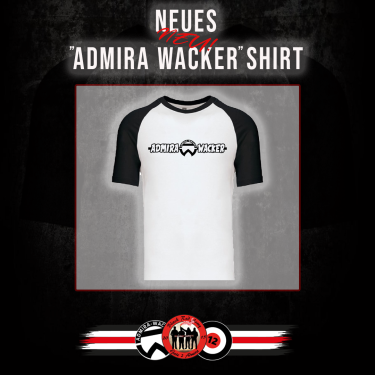 NEUER Fanartikel 2.png