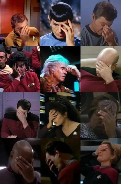 Star-Trek-the-facepalm-meme-board-1740739148413.jpg