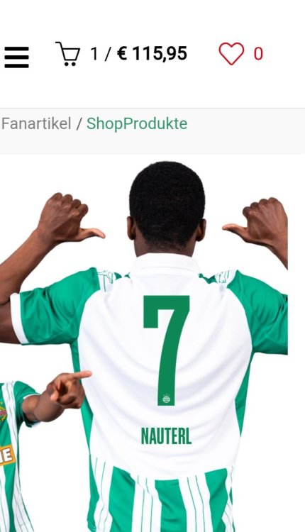 Screenshot_20250627_185706_Samsung Internet.jpg