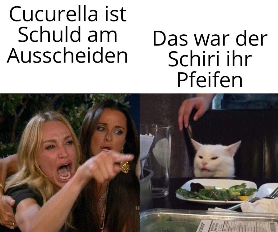 Two Women Yelling at a Cat 08062025220419.jpg