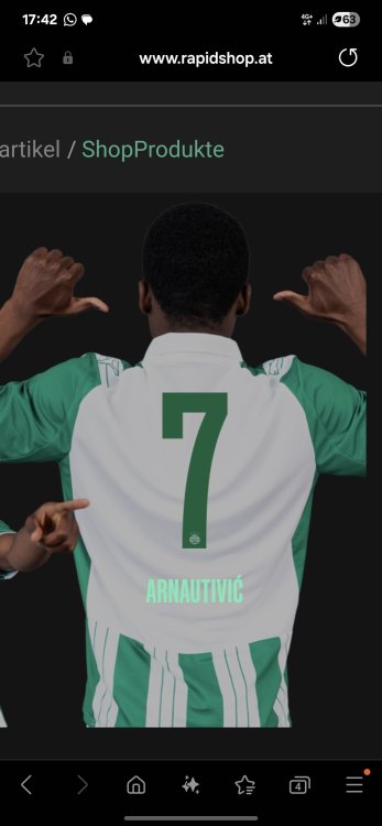 Screenshot_20250708_174235_Samsung Internet.jpg