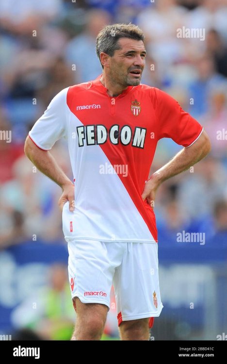 jeremy-toulalan-as-monaco-2BBD41C.jpg