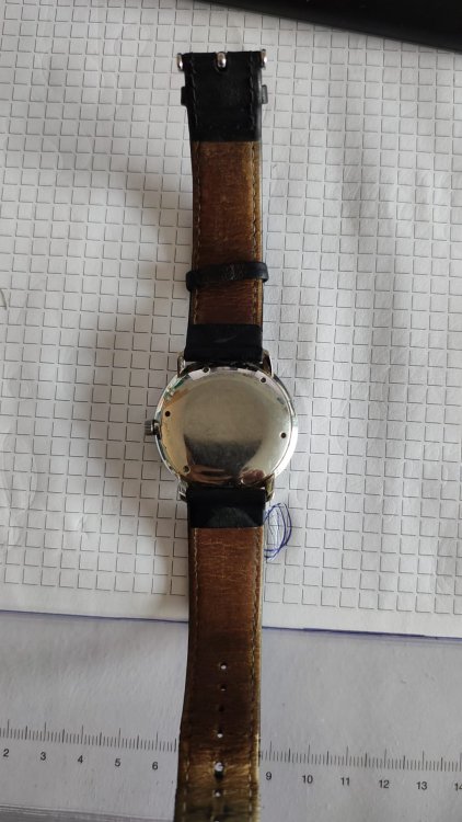 WhatsApp Bild 2025-09-16 um 11.29.49_c7d92115.jpg