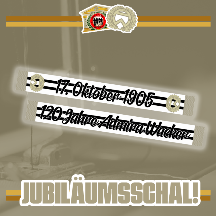 fanartikel präsentation schal.png