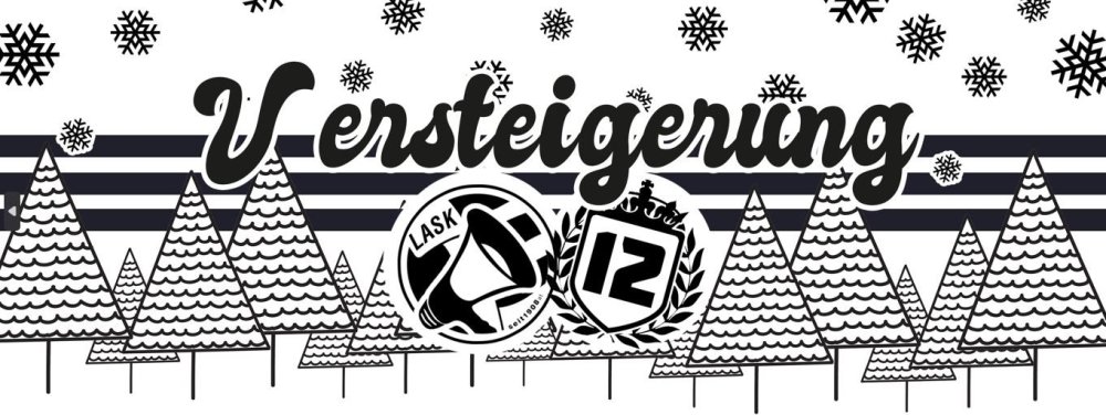 Versteigerung Flyer.JPG