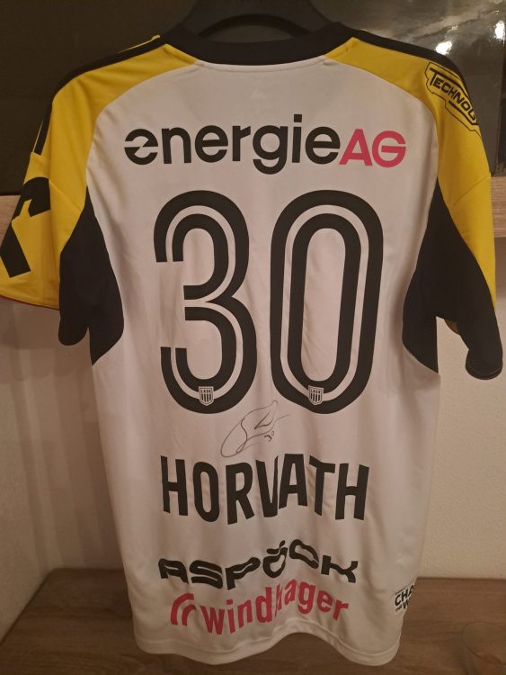 Dress Horvath hinten.jpeg