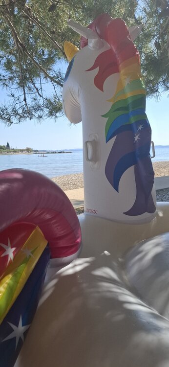 20260525_160328.jpg