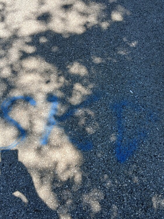20260528_133531.jpg