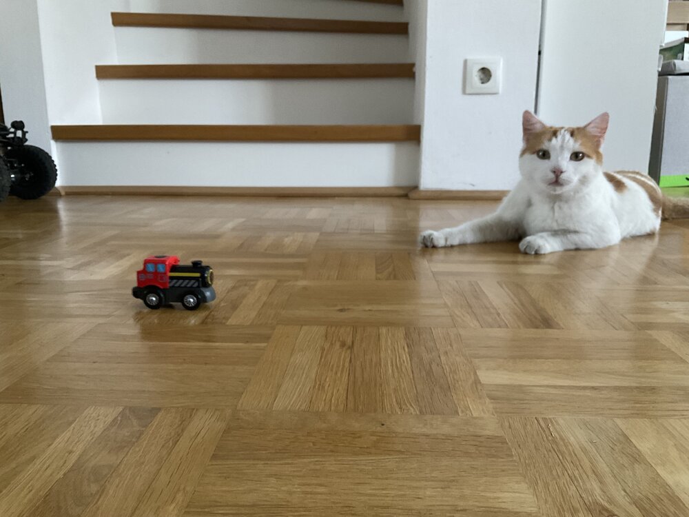 IMG_0858.jpeg