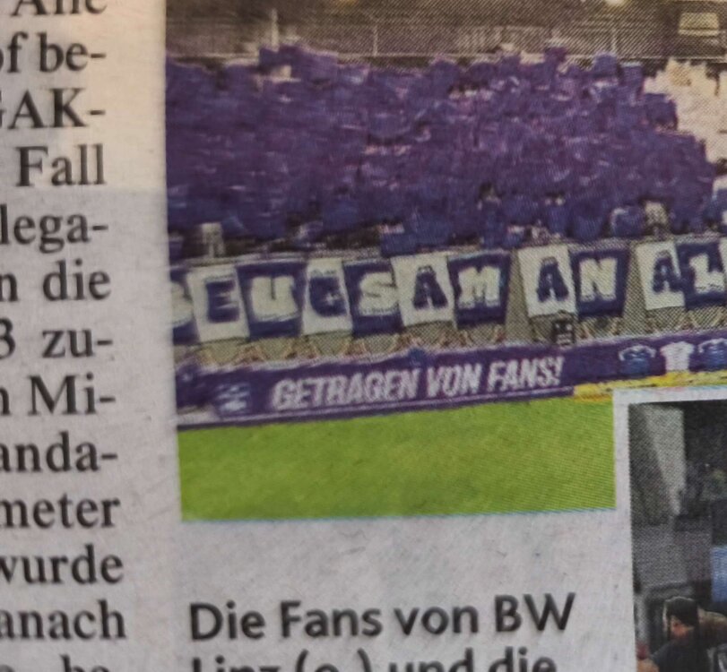 blauwer1.jpg