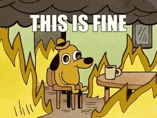 this-is-fine-meme.webp