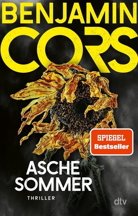 aschesommer-taschenbuch-benjamin-cors.jpeg