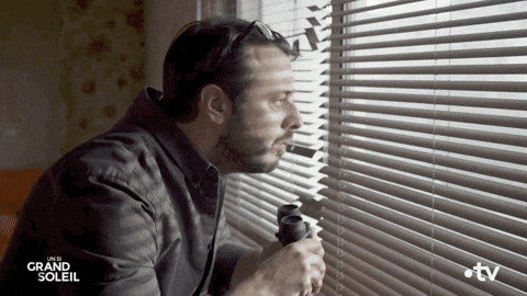 giphy (5).gif