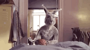 image.gif.fb1dca11f0cf02260754fe9fd1b0c789.gif