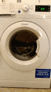 image.gif