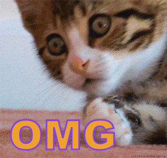 image.gif