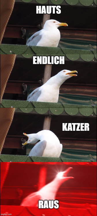 Download.png